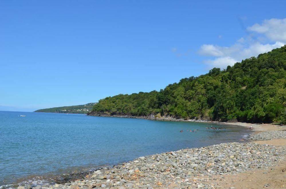 Bungalow Papaye Pointe-Noire Eksteriør bilde